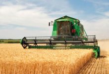 Cereal Office Plans Early for Next Agricultural Season