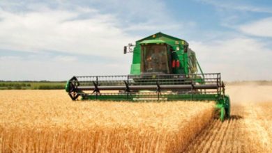 Cereal Office Plans Early for Next Agricultural Season