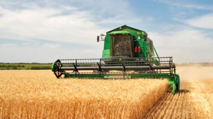 Cereal Office Plans Early for Next Agricultural Season