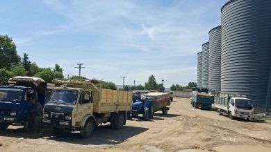 Grain Silos Enhance Algeria's Food Security Amidst Global Shifts