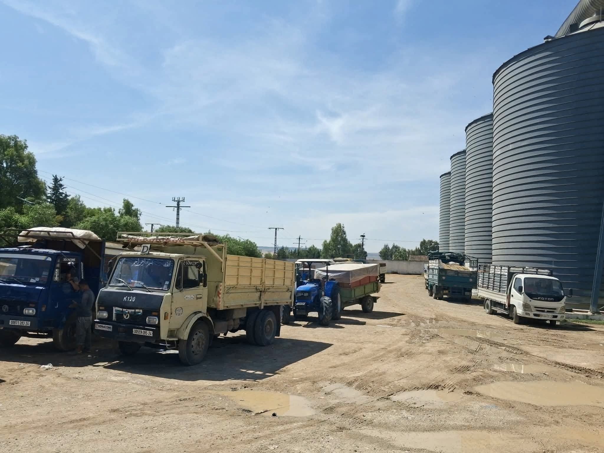 Grain Silos Enhance Algeria's Food Security Amidst Global Shifts