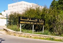 National Festival, Digital Platform Expand Reading Across Algeria
