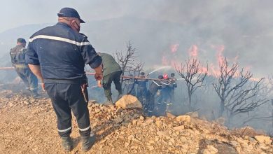 Victims of Forest Fires to Receive State Aid Decisions