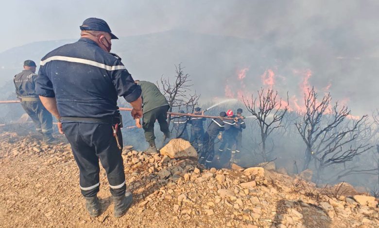 Victims of Forest Fires to Receive State Aid Decisions