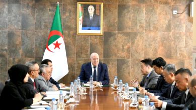 Industry Minister Engages China Baowu on El Hadjar Steel Complex