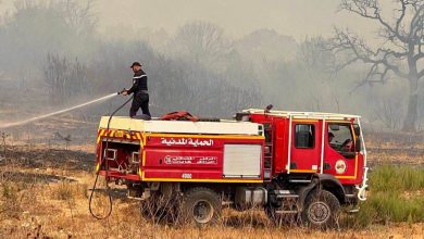 Central Pharmacy Mobilizes for Wildfire Regions Medical Supply