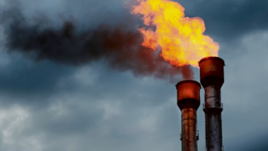 Sonatrach Method Adopted for African Energy Development