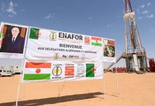 Sonatrach, Sonelgaz Expand African Energy Infrastructure