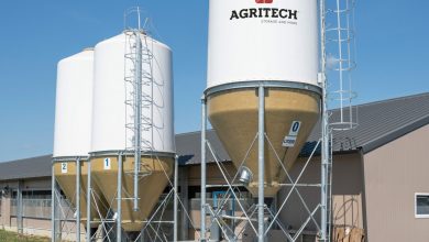 Italy Delegation to Discuss Agricultural Technology in Algiers