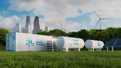 German Delegation to Visit Algeria for Green Hydrogen Exploration