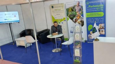 Investment Credit Guarantees for SMEs Climb to 41 Billion Dinars