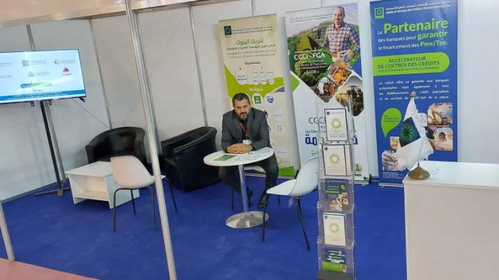 Investment Credit Guarantees for SMEs Climb to 41 Billion Dinars