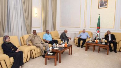 President Tebboune Patronizes Bejaia Resistance History Event