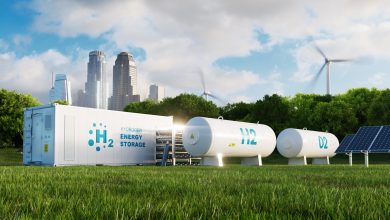 Berlin Identifies Algeria as Key Green Hydrogen Partner