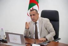 Minister Adjal Directs Accelerated Energy Partnerships with Niger, Côte d'Ivoire