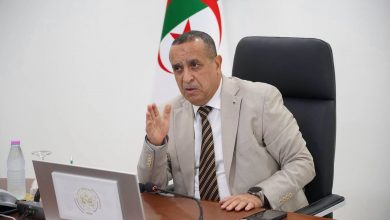 Minister Adjal Directs Accelerated Energy Partnerships with Niger, Côte d'Ivoire