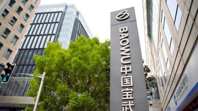 Algeria Poised for Major Integrated Steel Project with China's Baowu Group