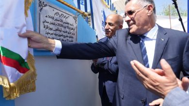 Presidential Programs Drive Tiaret's Irrigation Leap