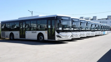 New Buses Enhance Urban Mobility Across Algerian Wilayas