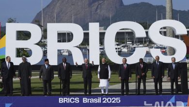 Algeria's BRICS New Development Bank Position Strengthened by Iran's Membership Bid