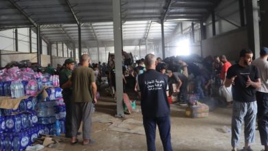 National Unity Foils Destabilization Plots Amidst Fires
