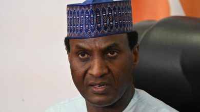 Nigerien Prime Minister's Visit Deepens Algeria-Sahel Ties