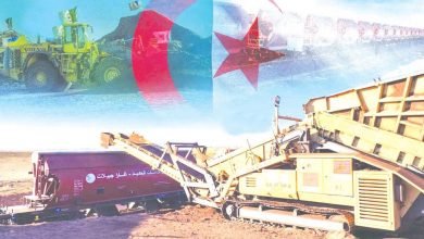 Algeria Advances Industrial Strategy for Value Creation and Export Growth