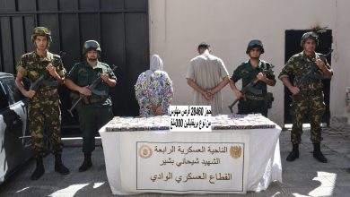 Algerian Army Foils Terrorist Support, Seizes Over 3.8 Tonnes of Psychotropics