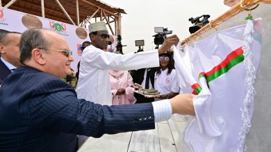 Algiers Pursues New Continental Economic Hub Strategy