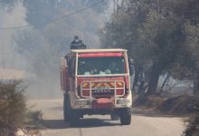 Civil Protection Mobilizes Extensive Resources Against Forest Fires