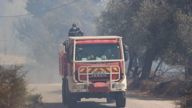 Civil Protection Mobilizes Extensive Resources Against Forest Fires