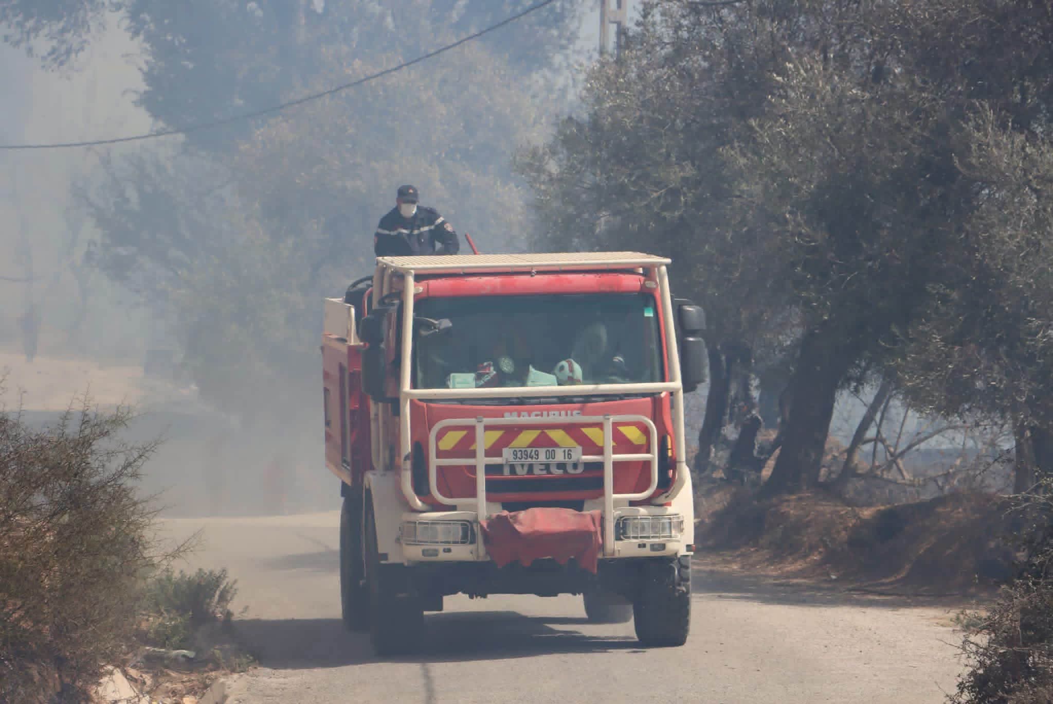 Civil Protection Mobilizes Extensive Resources Against Forest Fires