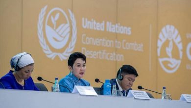 UN Desertification Conference Adopts Algeria-Initiated Resolution