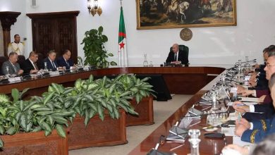 Algeria Projects Air Power to Counter Niger Destabilization