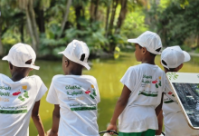 Youth Ministry Expands Free Diaspora Camps to France, Tunisia