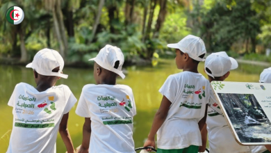 Youth Ministry Expands Free Diaspora Camps to France, Tunisia