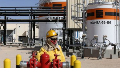 Niger Hydrocarbon Project Progresses with Algerian Expertise