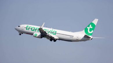 Transavia Offers Flights to Algiers and Oran from 48 Euros
