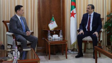 Algeria Advances Green Industry Goals with Focus on Technology Transfer and Strategic Localization