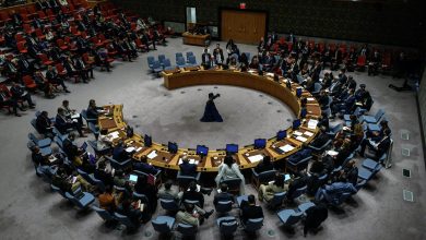 UN Security Council Urged by Algeria to Act on Starvation
