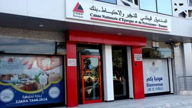 Public Authorities Drive Bus Fleet Renewal with Bank Financing