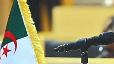 Italian Leadership Receives Algerian Prime Minister, Deepening Ties