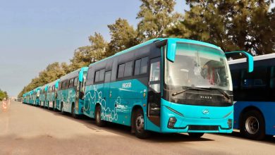 Jijel Receives 30 New Buses to Enhance Public Transport