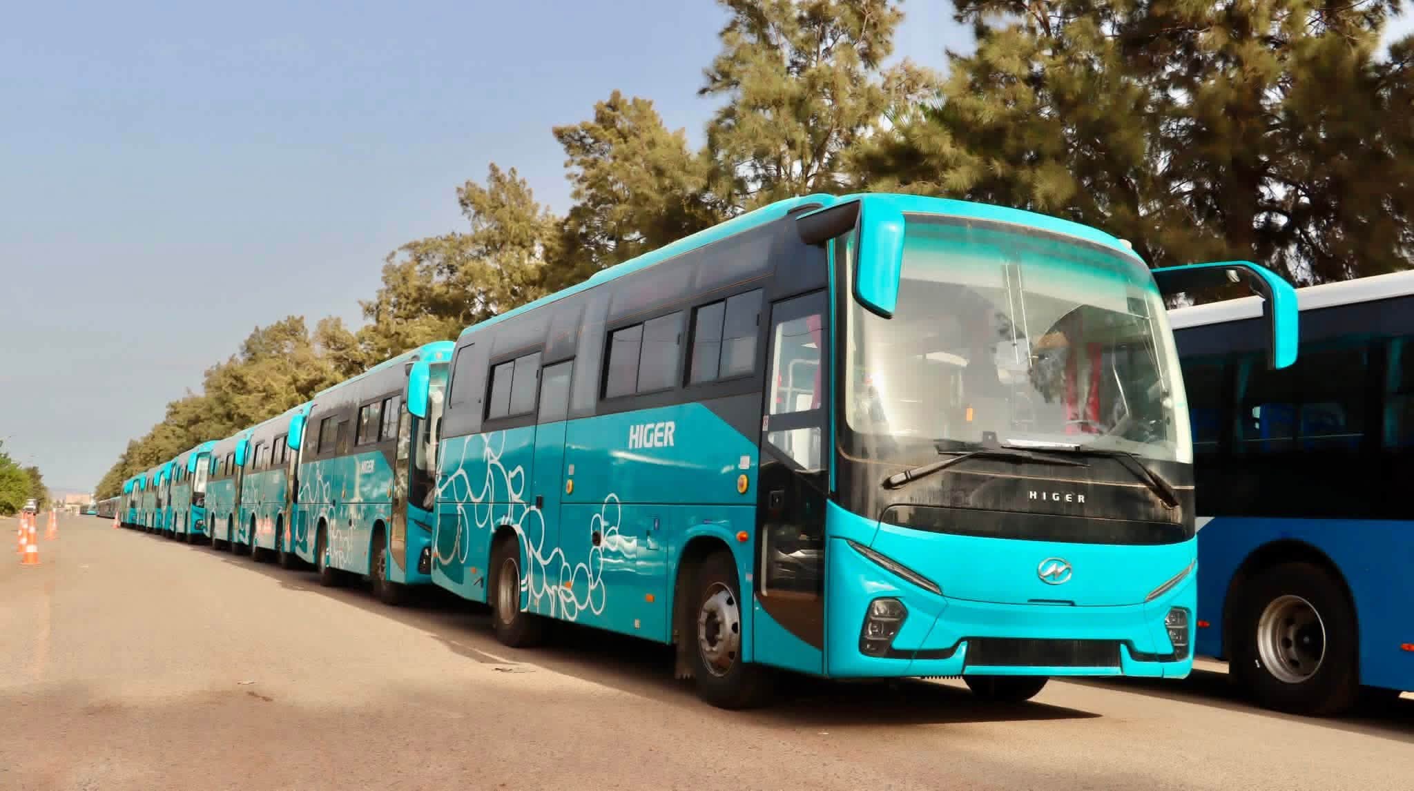 Jijel Receives 30 New Buses to Enhance Public Transport