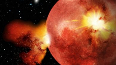1.27-Billion-Year-Old Martian Meteorite Discovered in Algeria