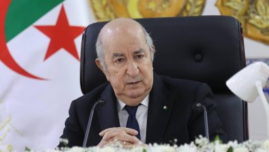 Naceri Represents Tebboune at African Union Conflict Forum