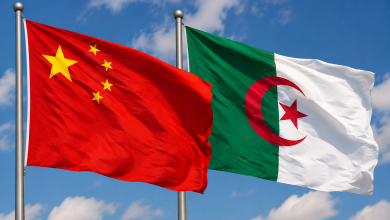 Hydrocarbon Sector Sees Sonatrach, Anton MoU for Technology, Output