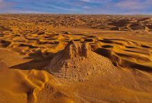 Sahara's Ancient Green Savanna Depicted in Algerian Rock Art