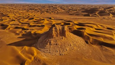 Sahara's Ancient Green Savanna Depicted in Algerian Rock Art