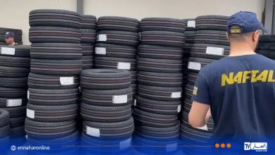 Naftal Issues Urgent Warning Against Fraudulent Online Tire Platforms